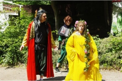 2015 Ein Sommernachtstraum (Probe)