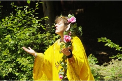 2015 Ein Sommernachtstraum (Probe)