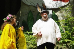 2015 Ein Sommernachtstraum (Probe)