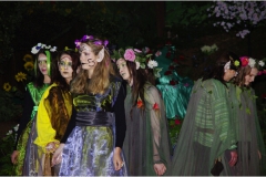 2015 Ein Sommernachtstraum