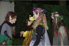2015 Ein Sommernachtstraum