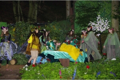 2015 Ein Sommernachtstraum