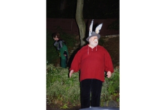 2015 Ein Sommernachtstraum
