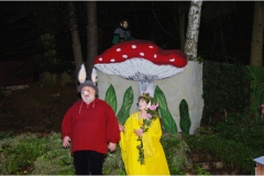 2015 Ein Sommernachtstraum