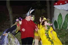 2015 Ein Sommernachtstraum