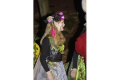 2015 Ein Sommernachtstraum