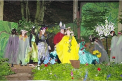 2015 Ein Sommernachtstraum