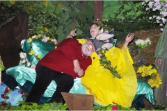 2015 Ein Sommernachtstraum
