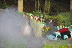 2015 Ein Sommernachtstraum